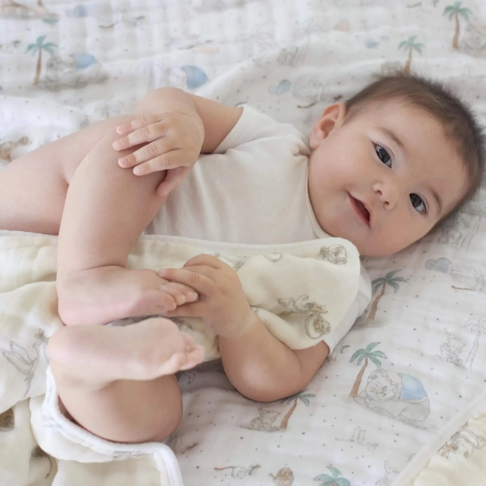 aden   anais Boutique Dream Blanket (My Darling Dumbo)