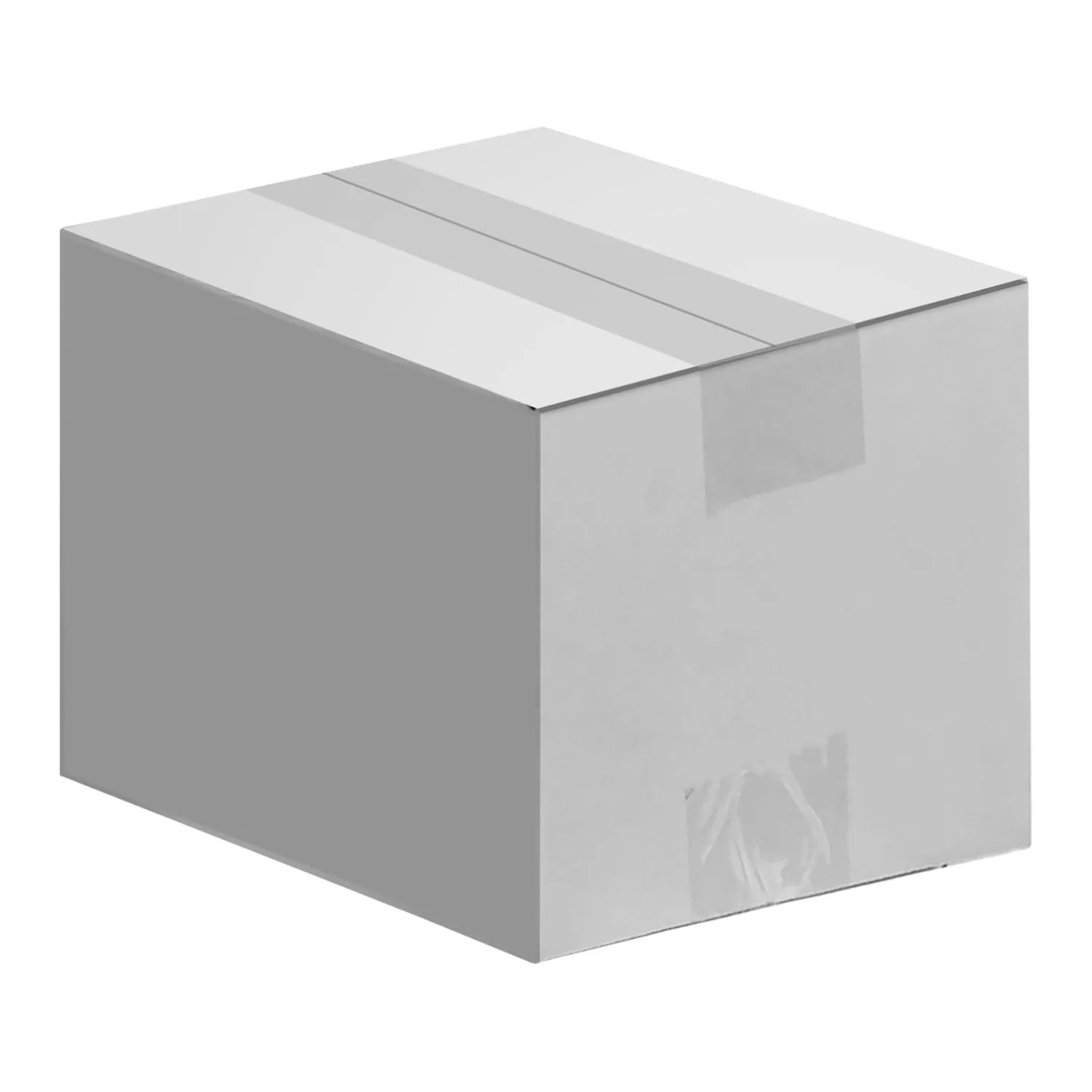 Air Filter (HEPA Filter)