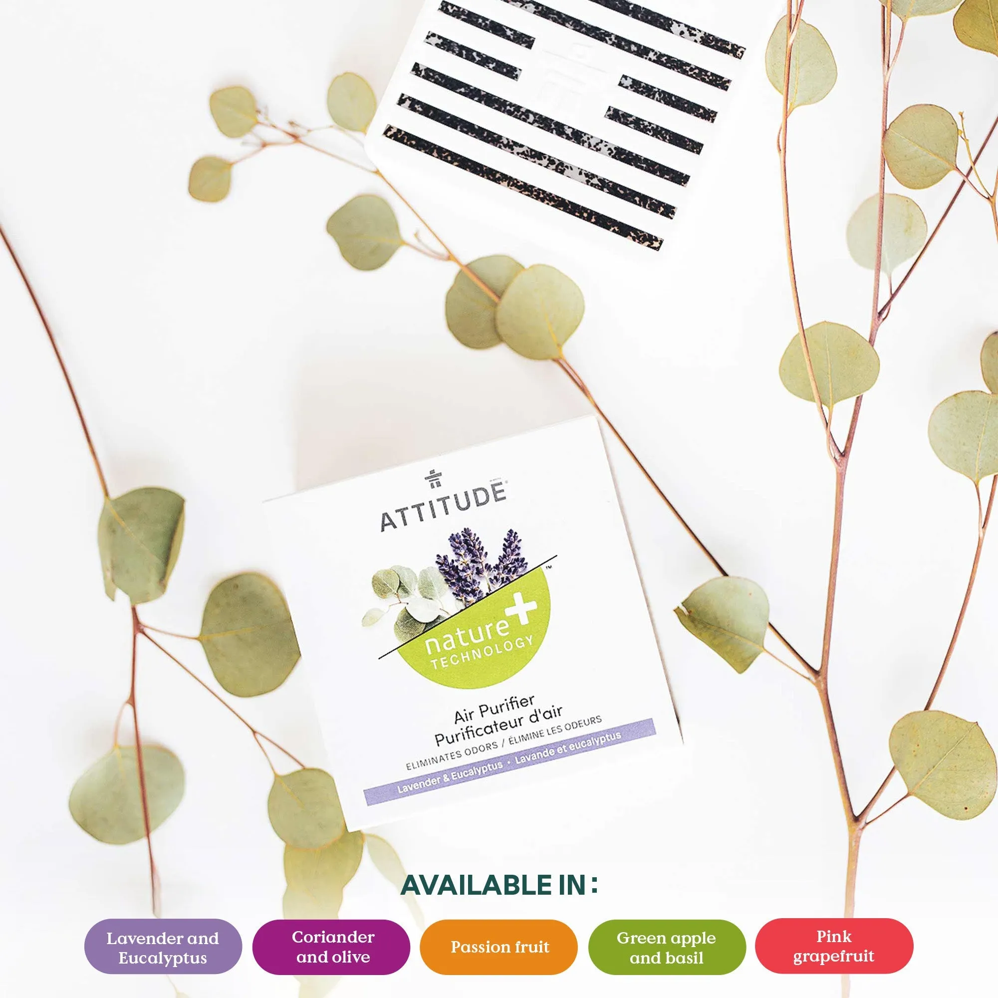 Air Purifier : NATURE 