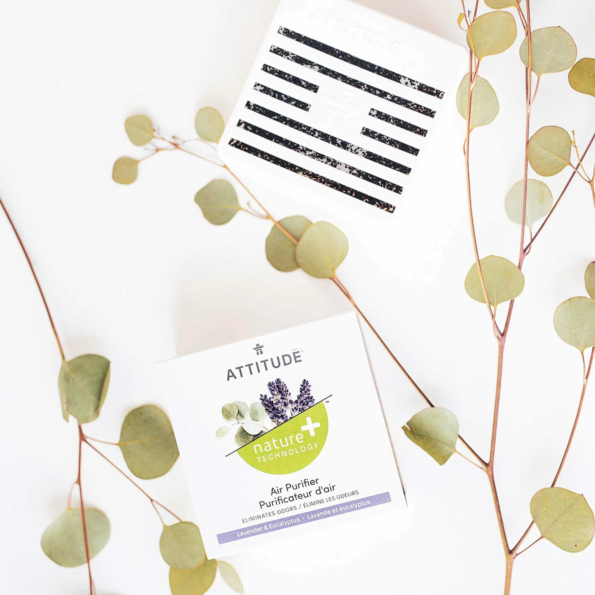 Air Purifier : NATURE 