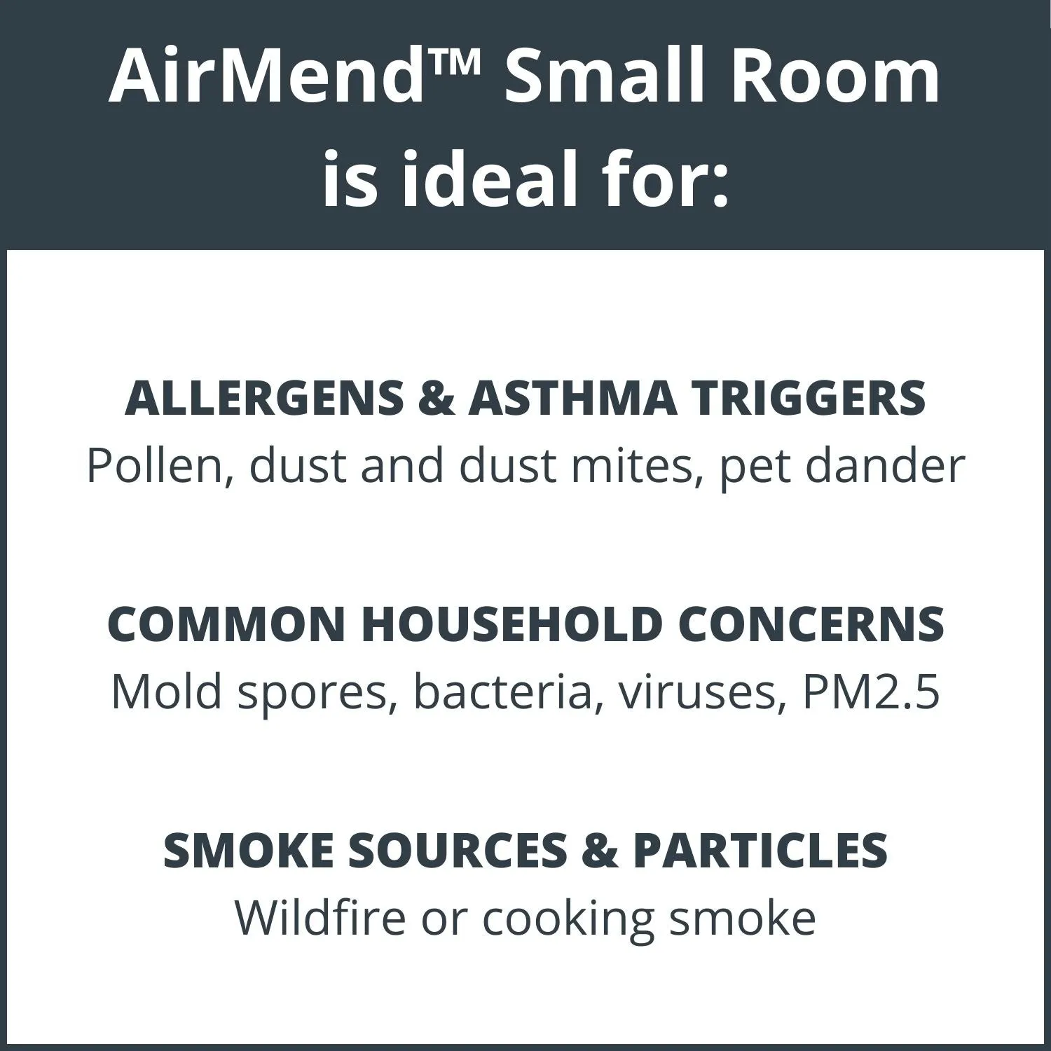 AirMend™ Small Room HEPA Air Purifier