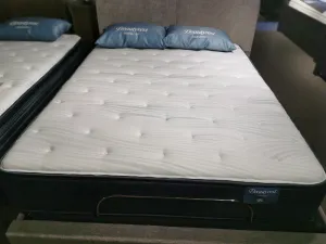 Beauty-rest Anchorage TT Mattress