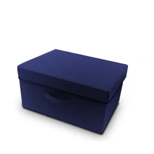 Blue Foldable Storage Box