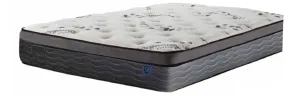 Century 12" Euro Top Mattress 🍁