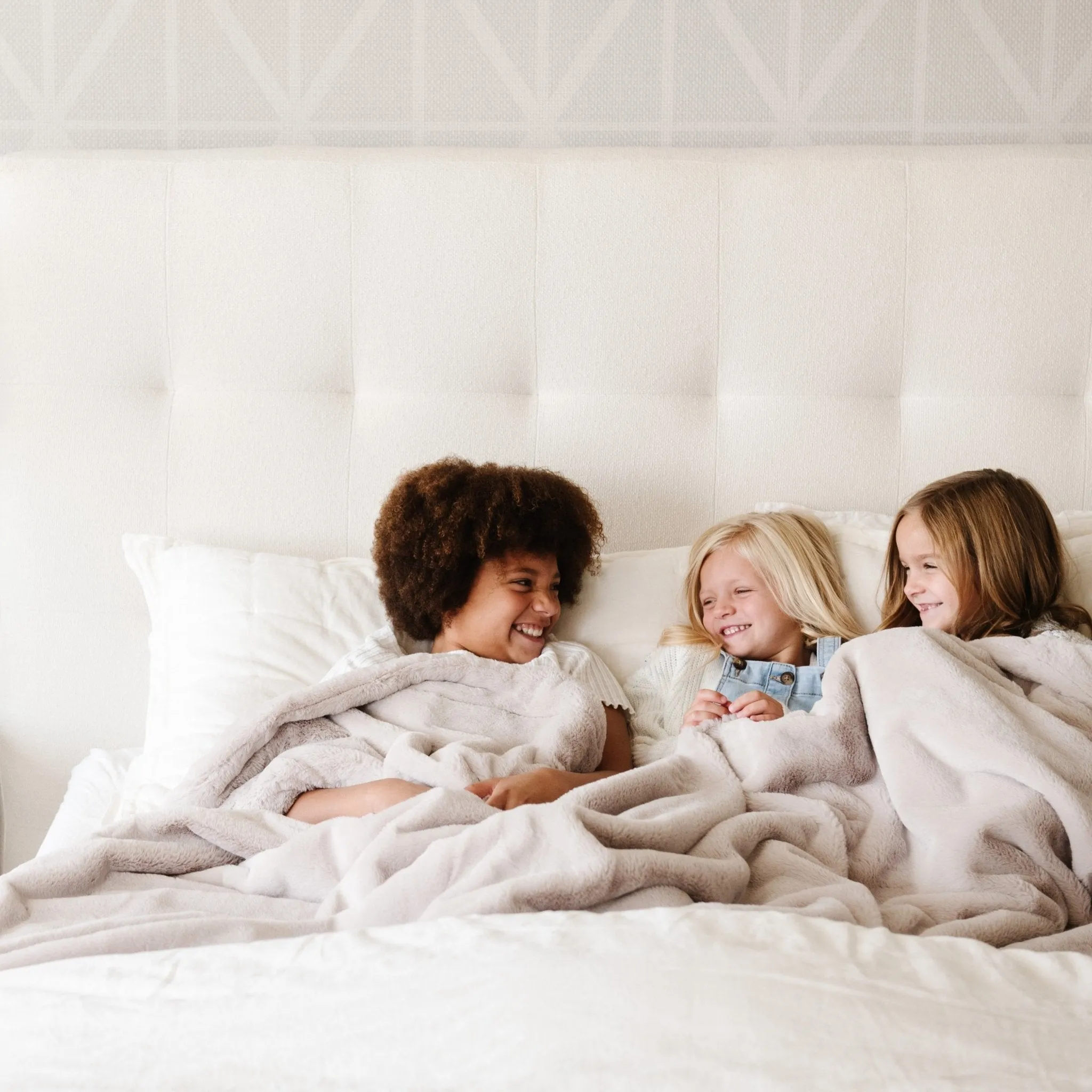 FAUX FUR KING BLANKETS