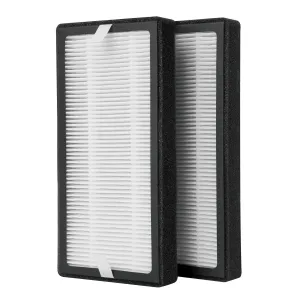 Homedics TotalClean® Replacement HEPA-type Filter
