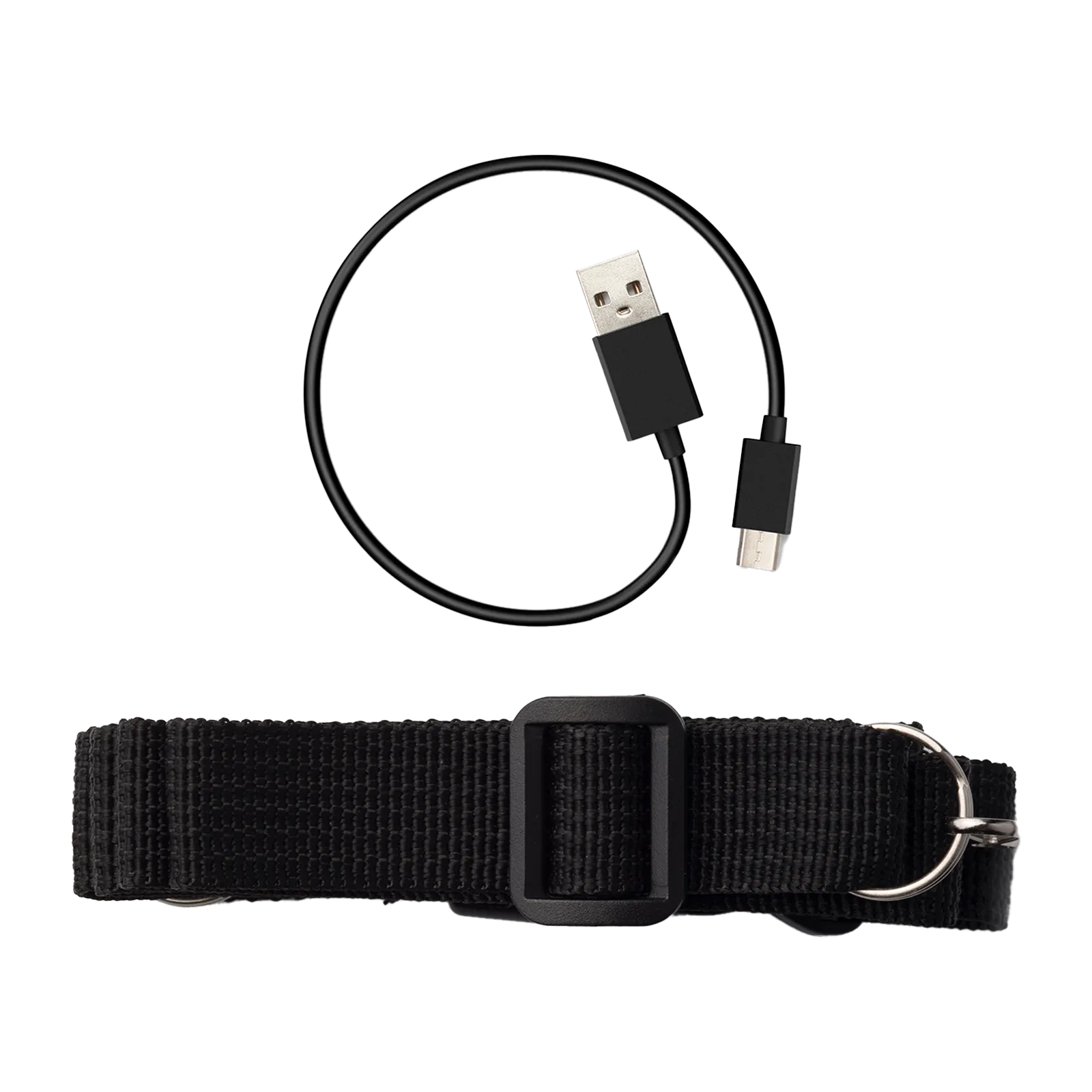 MF5P Portable Voice Amplifier