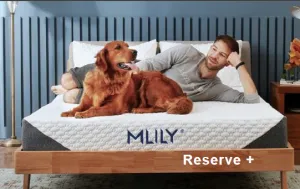 Mlily Reserve  Mattress | Mattress in Box