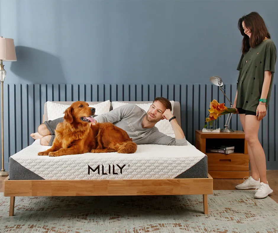 Mlily Reserve  Mattress | Mattress in Box