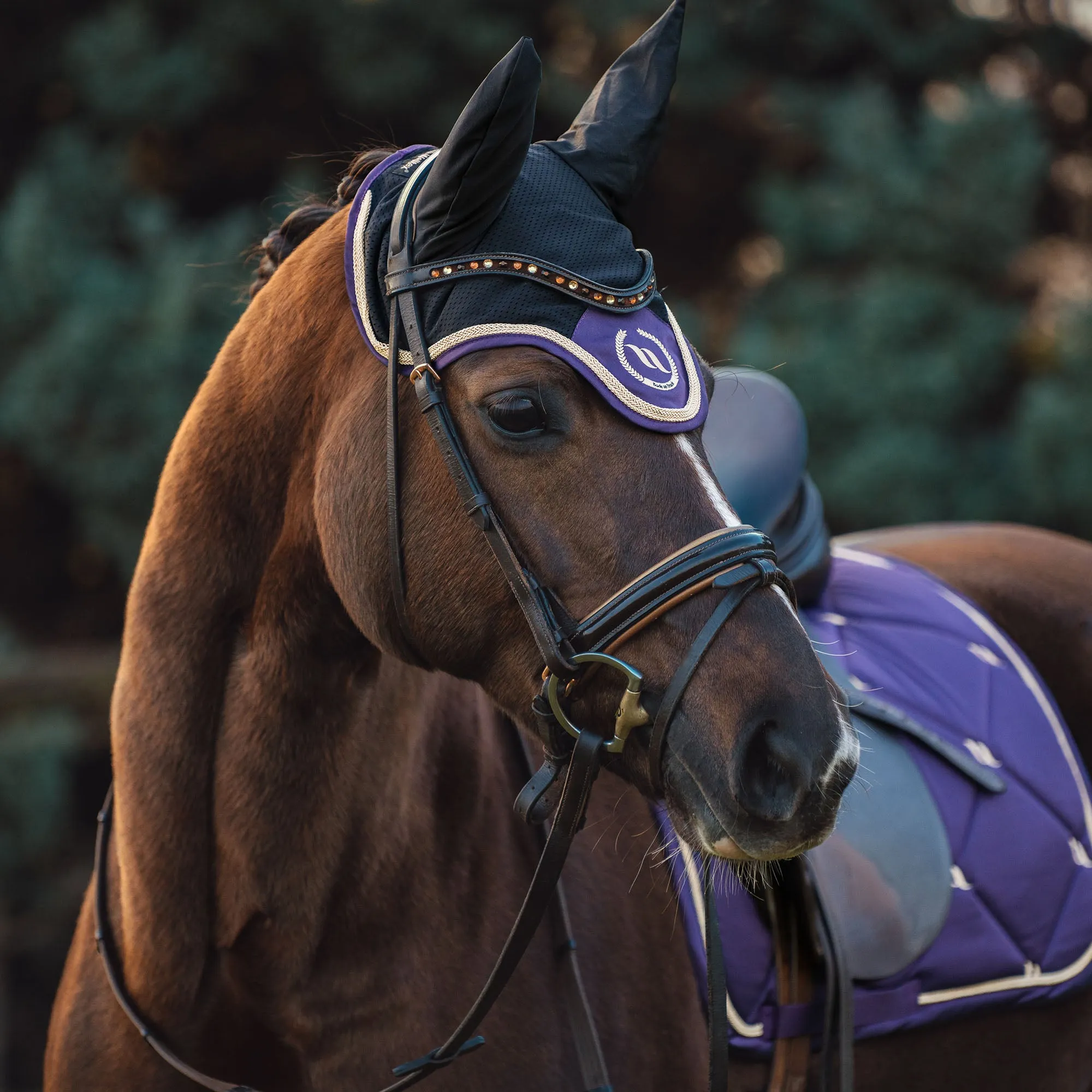 Nights Collection Dressage Saddle Pad