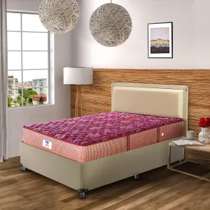 peps Springkoil Bonnell 8-inch Single Size Spring Mattress (Maroon, 75x30x08)
