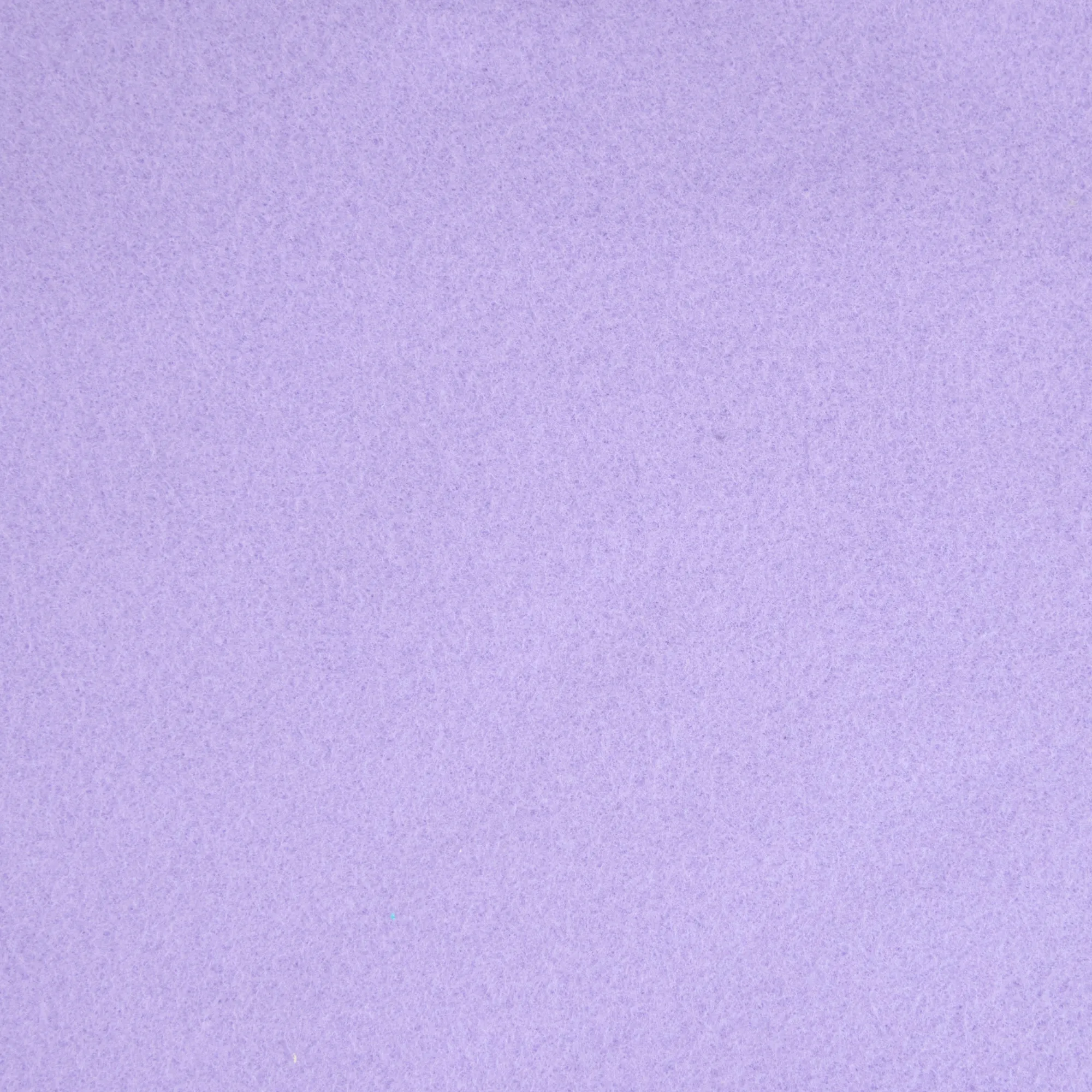 Plain Polar Fleece Fabric