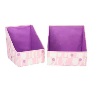 Purple Two-toned Accessory Bin