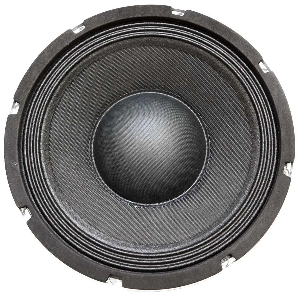 Richter-10 - (Pair) 10" Raw Speaker/Woofer 200 W RMS