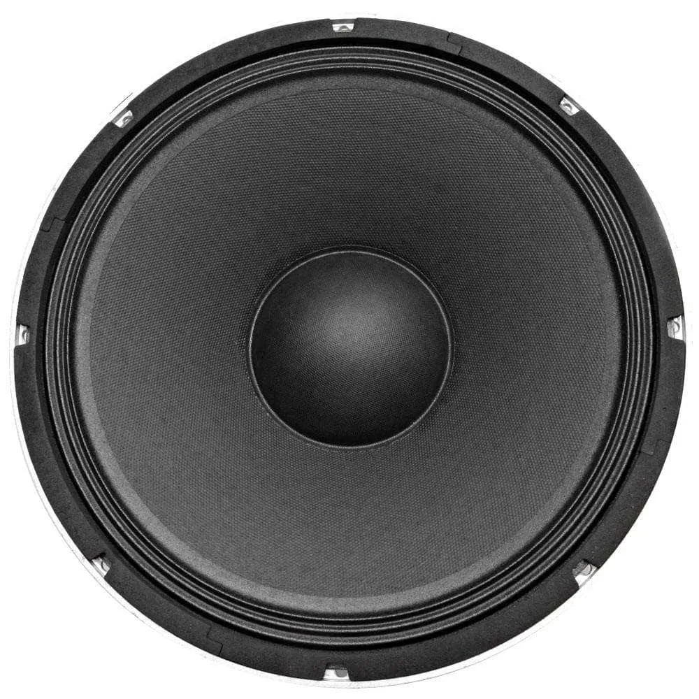 Richter-15 - (Pair) 15" Raw Speaker/Woofer 250 W RMS