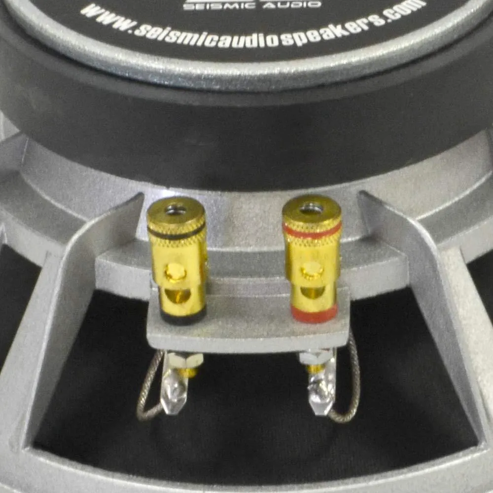 Richter-8 - (Pair) 8" Raw Speakers/Woofers 175 W RMS