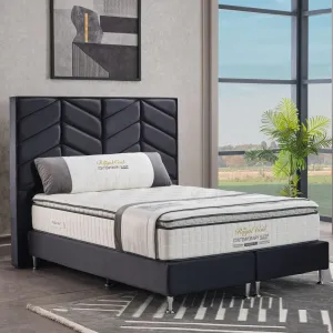 Royal Coil Regency Firm Pocket Orthopaedic Mattress - High Quality Mattress from Regency Range