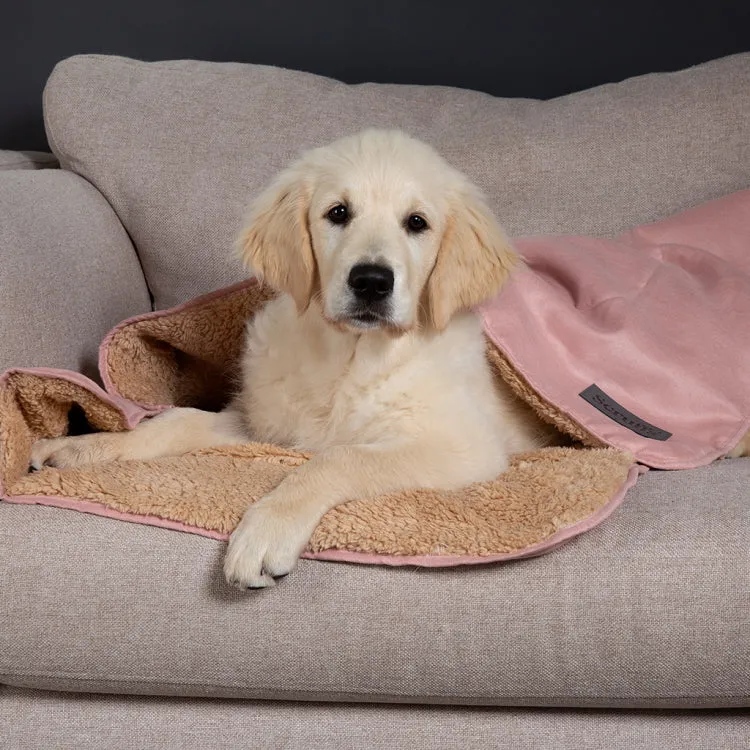 Scruffs Cosy Snuggle Dog Blanket - Assorted Colours