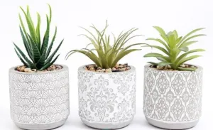 Set of 3 Patterned Artificial Succulents in Decorative Cement Pots