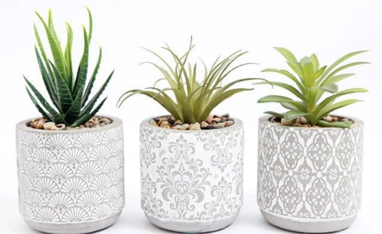 Set of 3 Patterned Artificial Succulents in Decorative Cement Pots