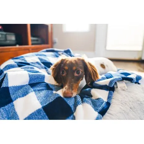 Tall Tails Hunter's Plaid Dog Blanket, 30x40
