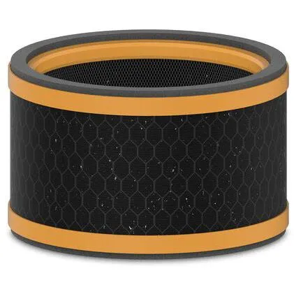 TruSens Z1000 Smoke Carbon Filter