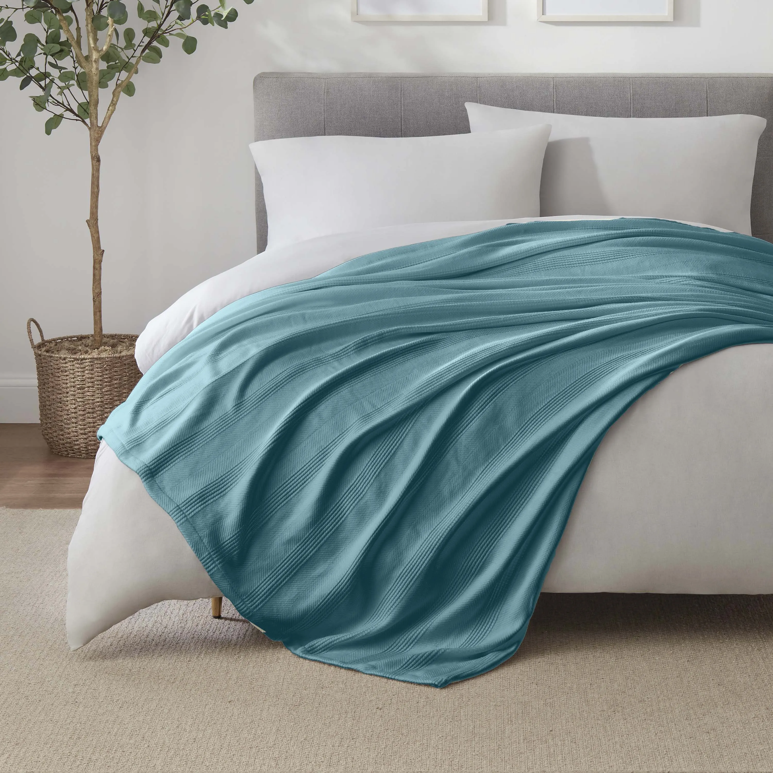 Vellux Cotton Blanket
