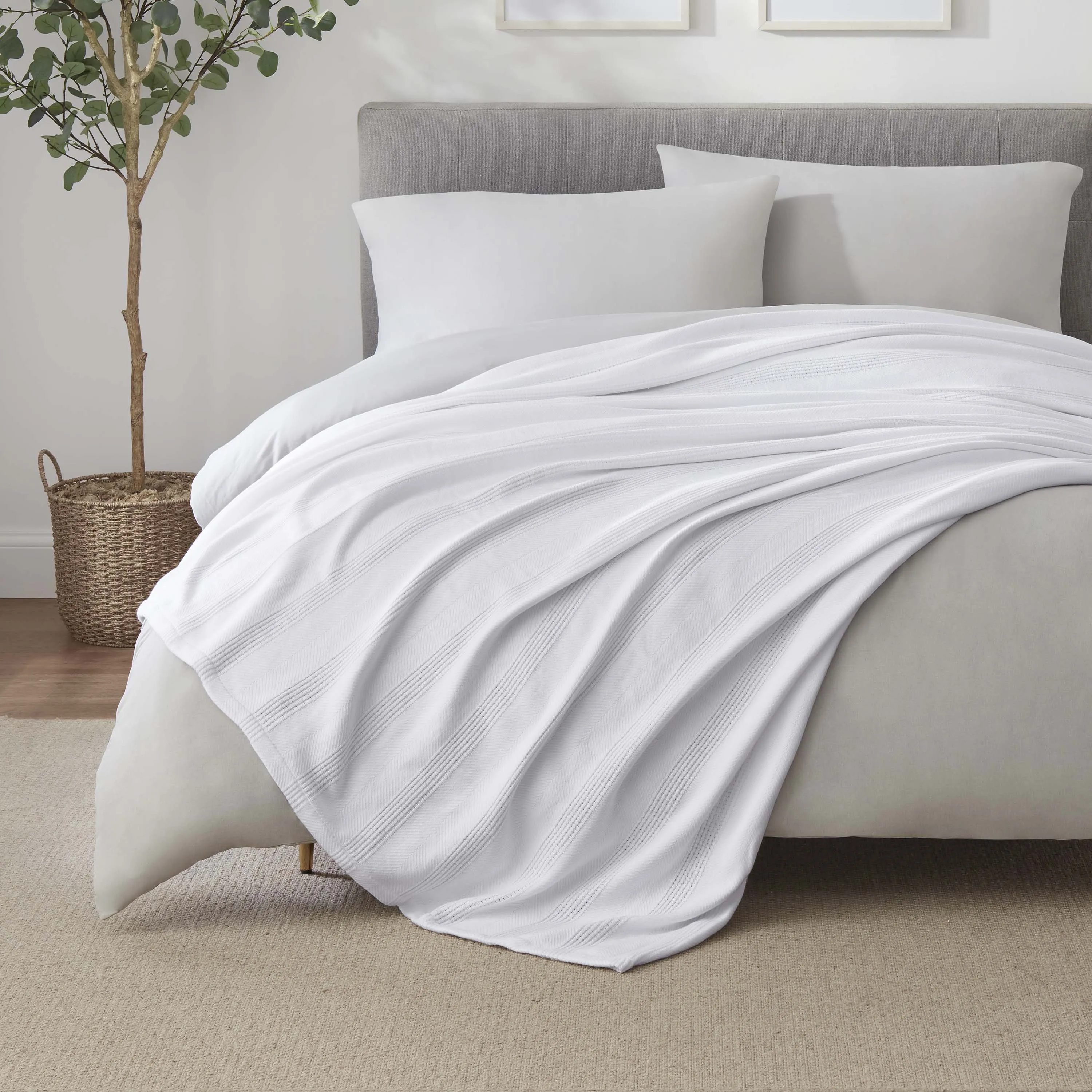 Vellux Cotton Blanket