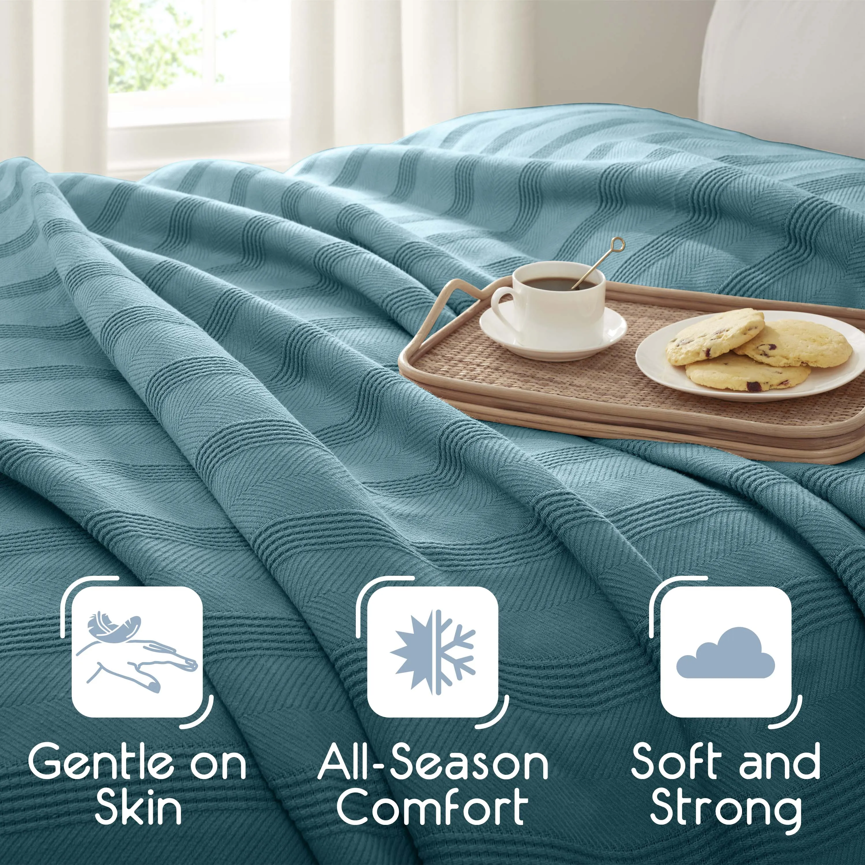 Vellux Cotton Blanket
