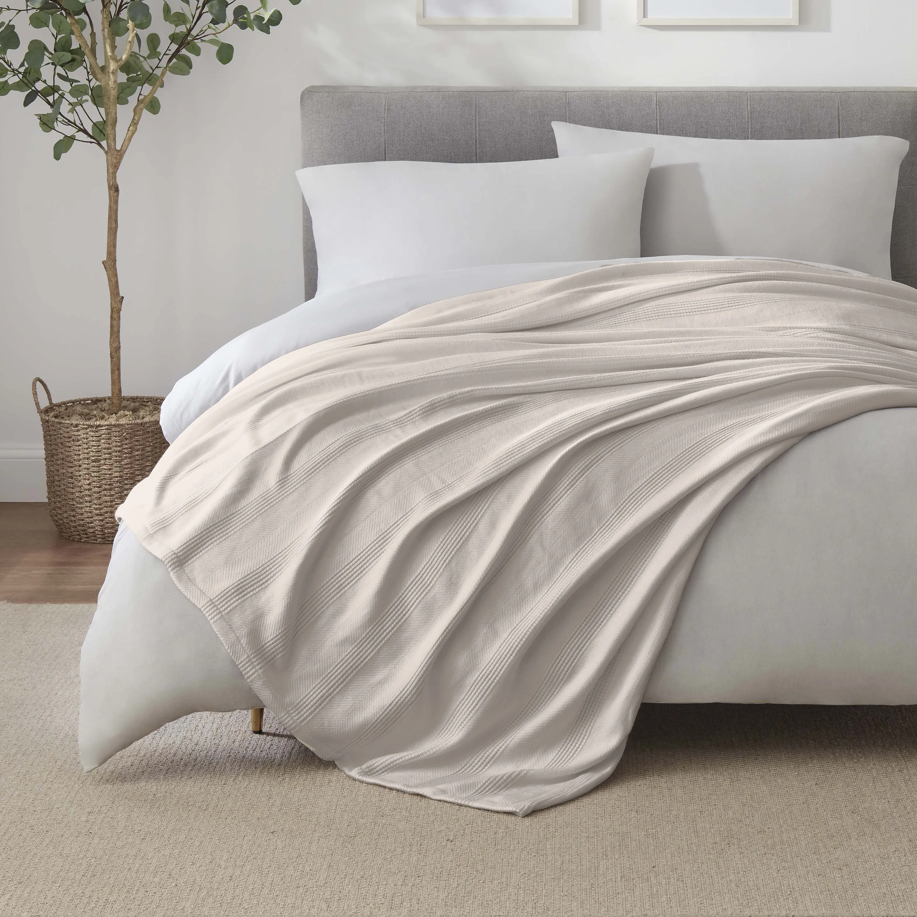 Vellux Cotton Blanket