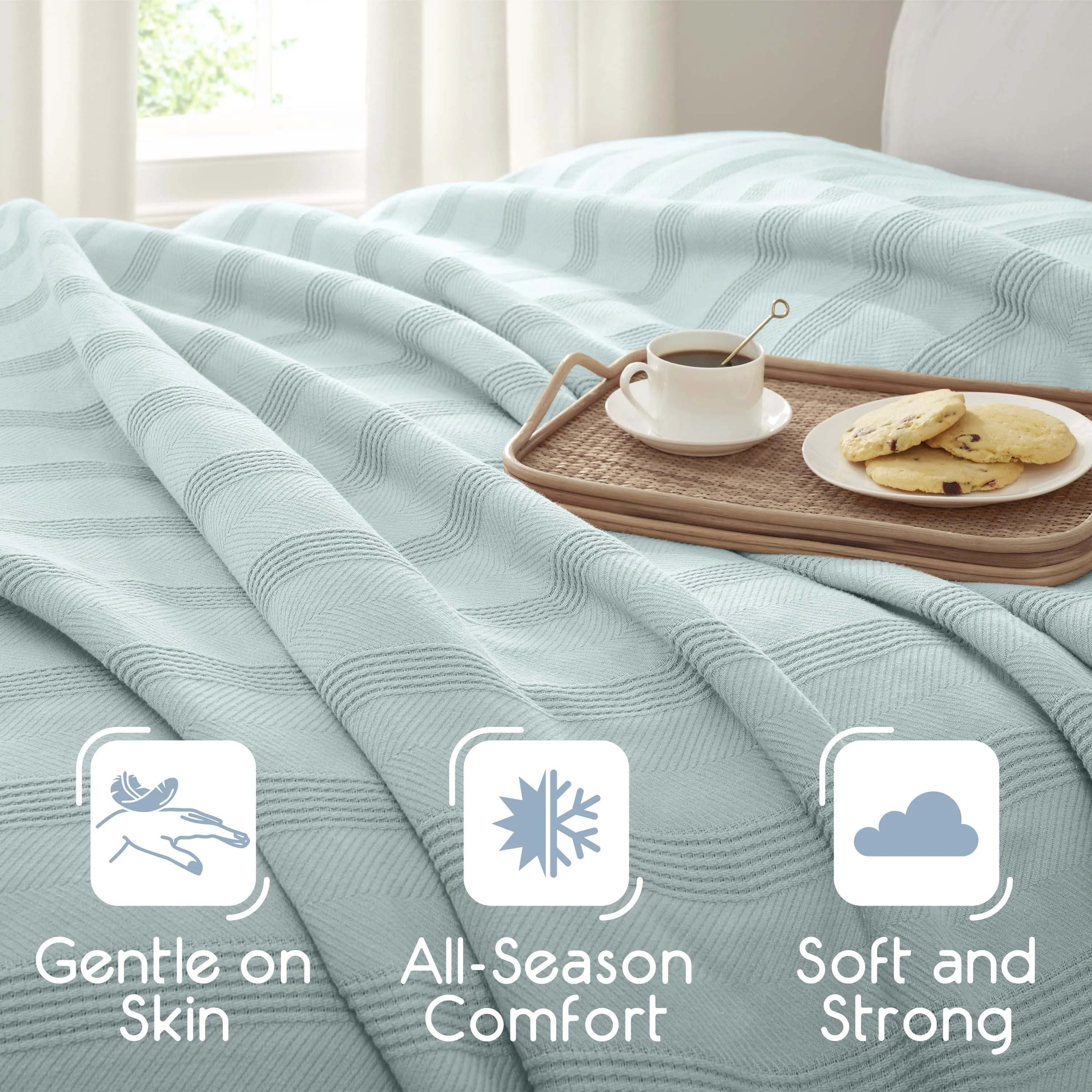 Vellux Cotton Blanket
