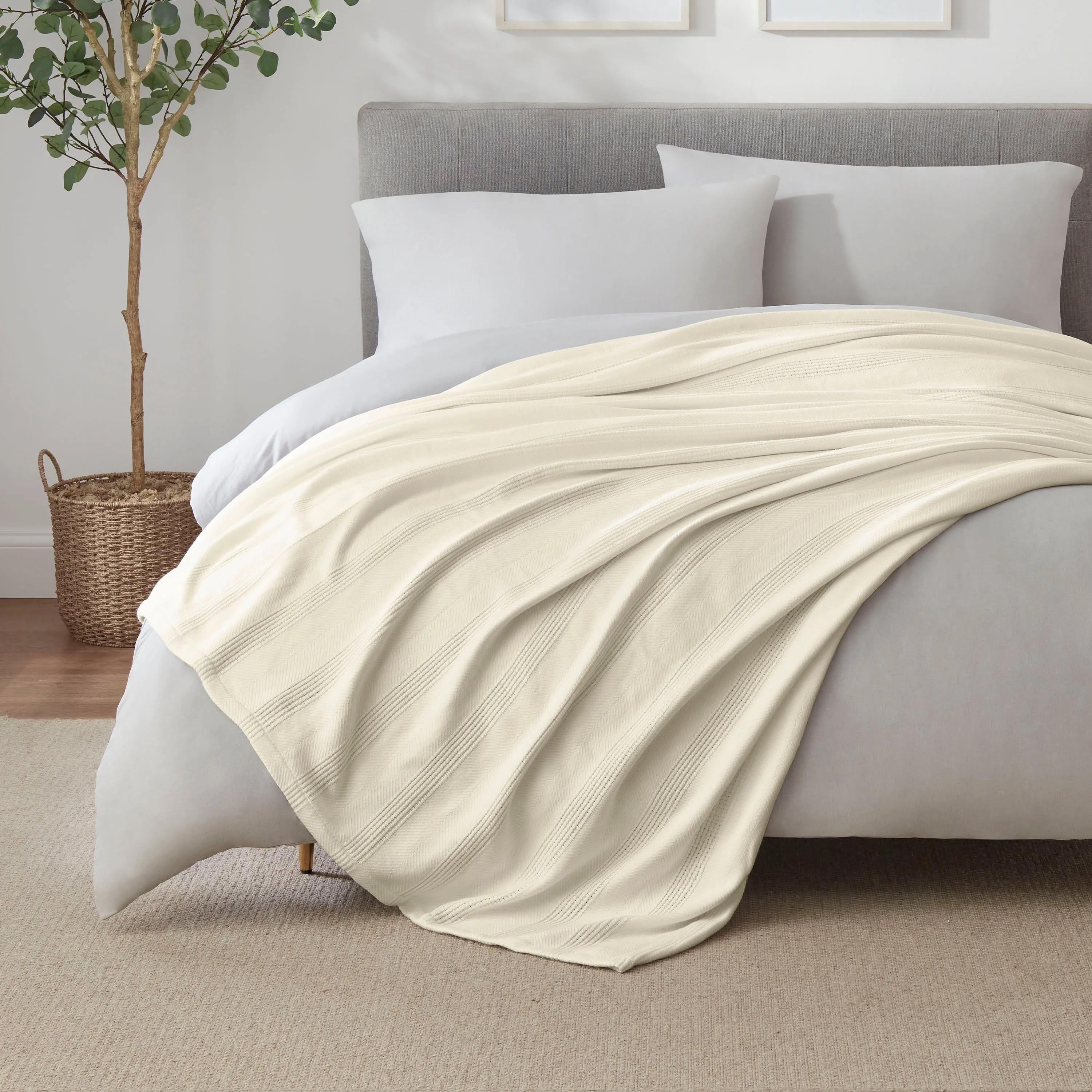 Vellux Cotton Blanket