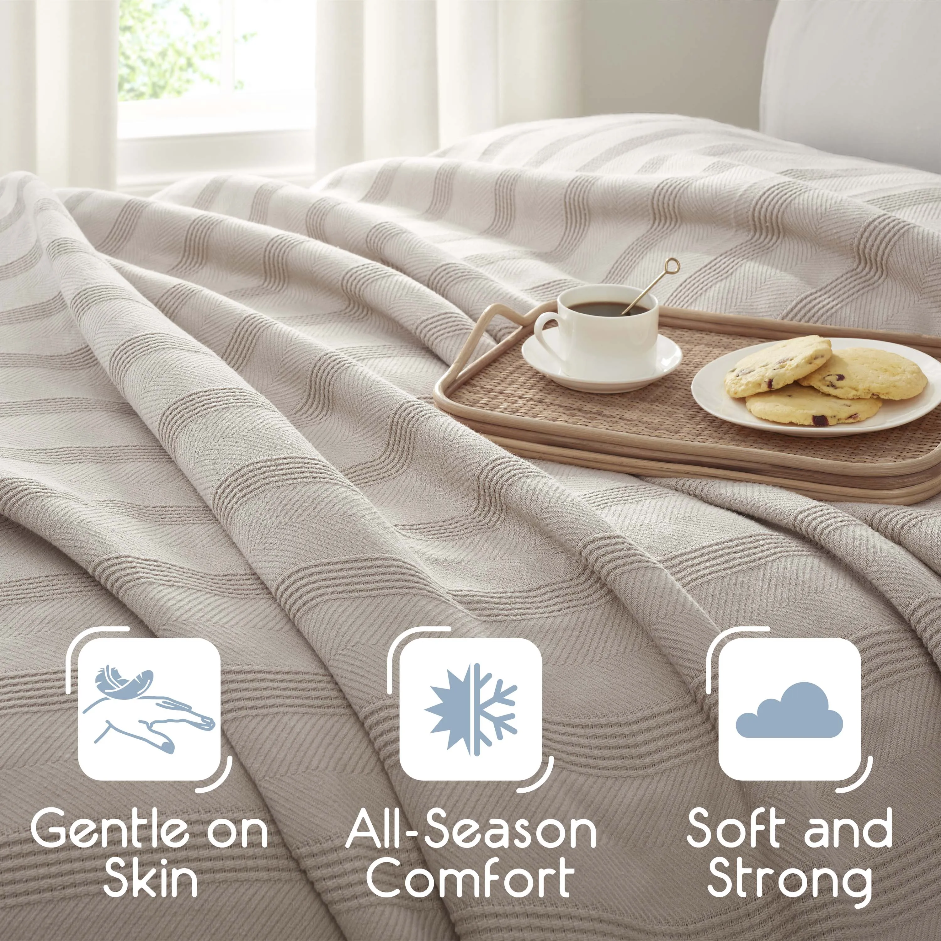 Vellux Cotton Blanket