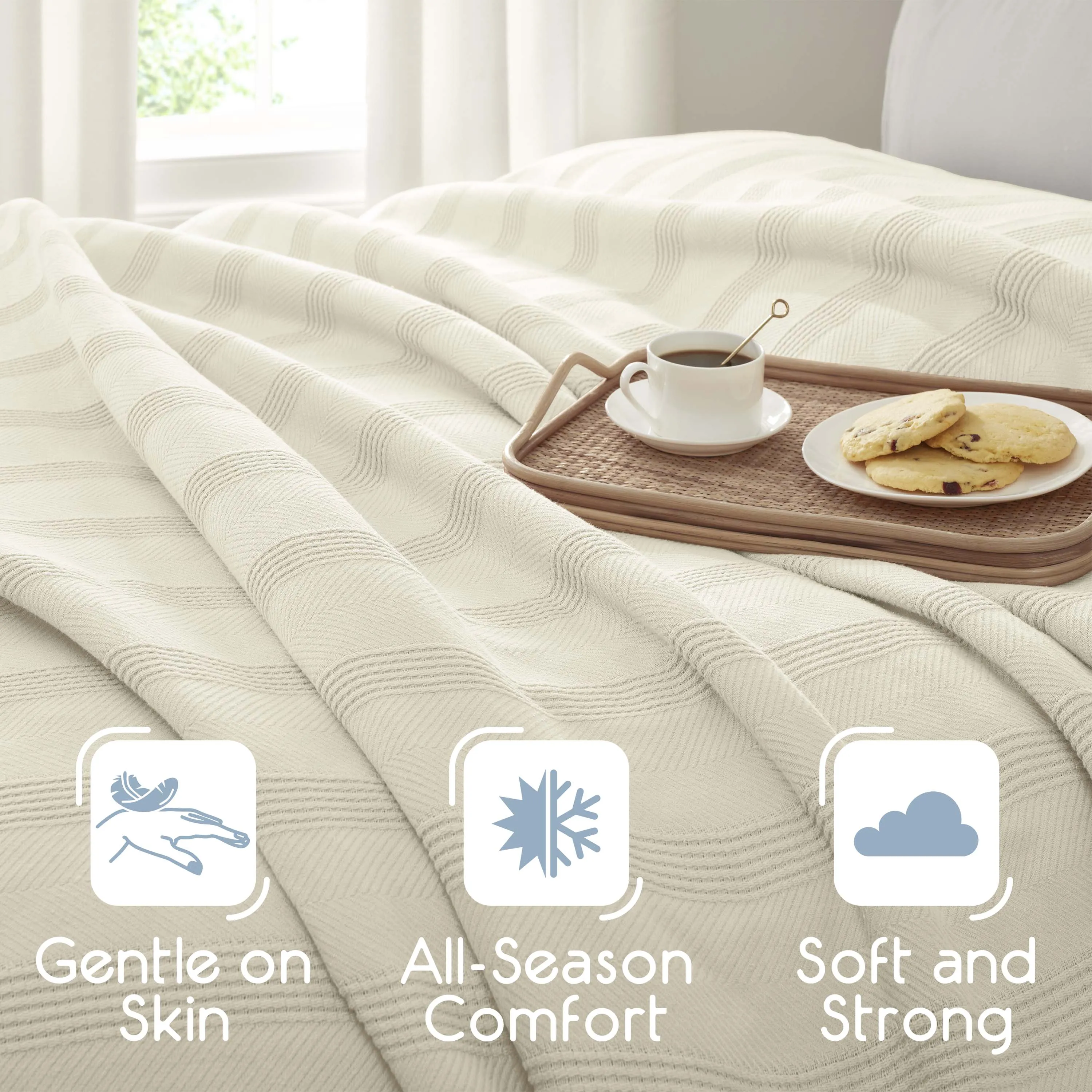 Vellux Cotton Blanket