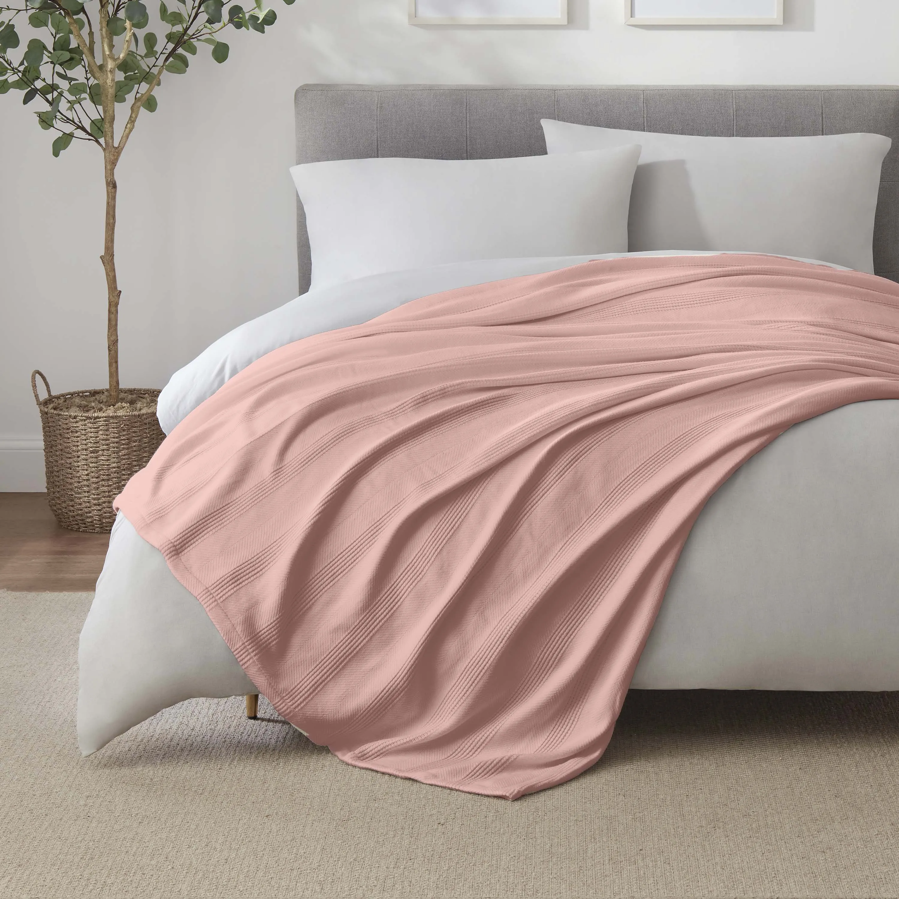 Vellux Cotton Blanket