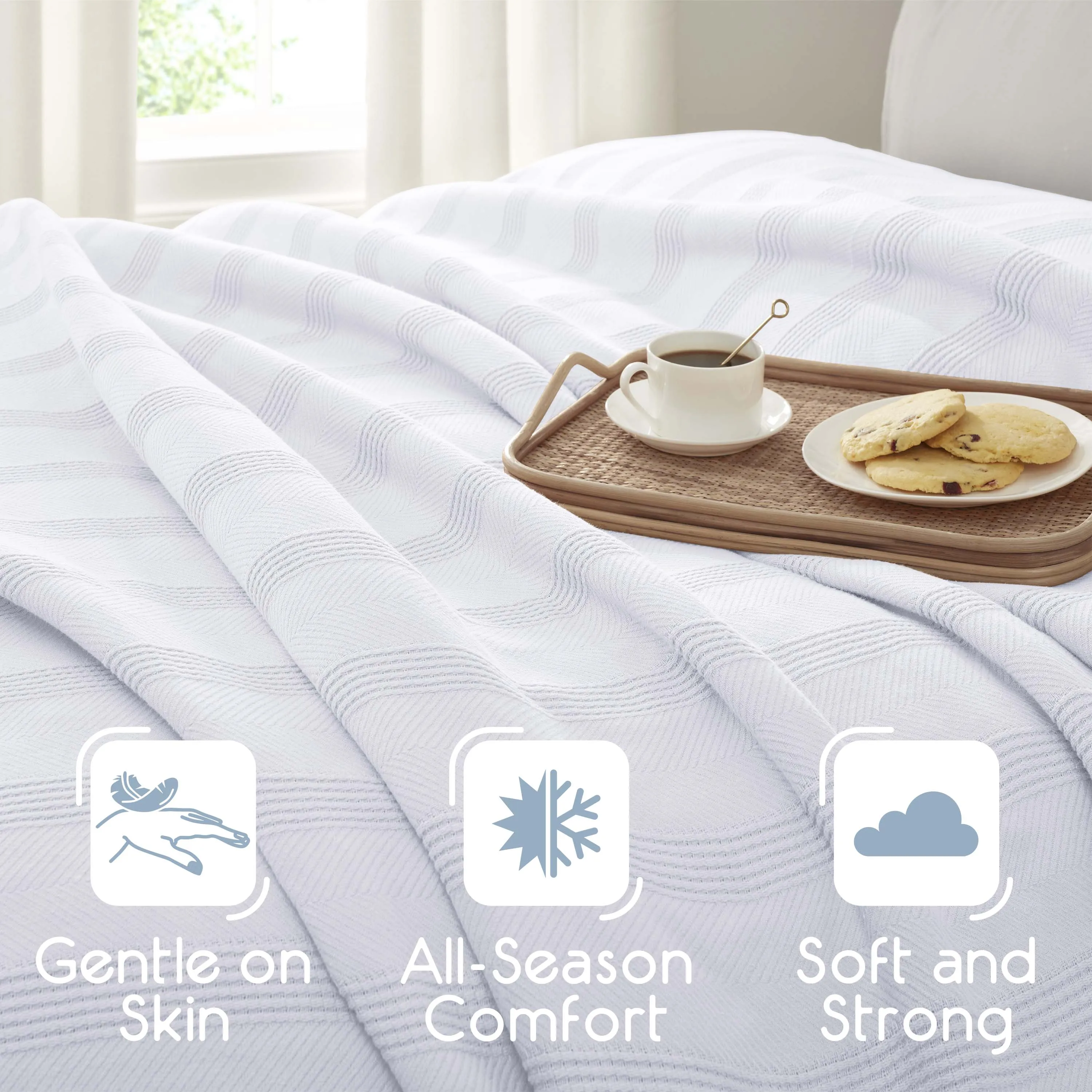 Vellux Cotton Blanket