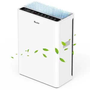 Vewior Air Purifier | A3N